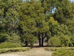 -蜀冈西峰生态公园