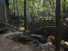 -灵谷景区