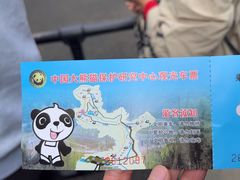 -都江堰中华大熊猫苑