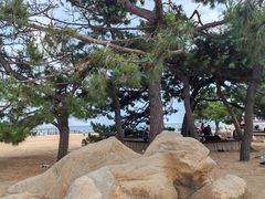 -老虎石海上公园