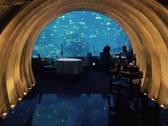 iphone_upload_pic-迪拜帆船酒店海底餐厅