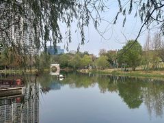 -洋湖国家湿地公园