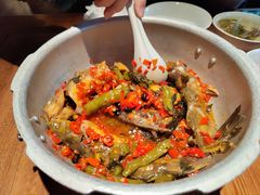-田小狗的饭店(碧桂园店)