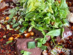 -大邑李记肥肠血旺