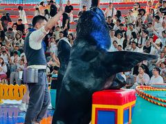 -海合安武汉极地海洋公园