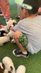 -萌宠亲子动物乐园(槐房万达店)