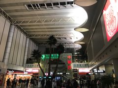 -温州龙湾国际机场