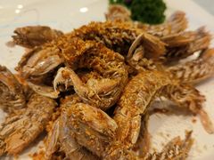 -大东海海鲜酒楼(渔人码头总店)