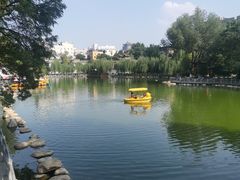-莲湖公园