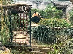 -石排湾郊野公园
