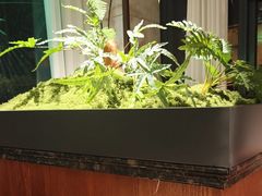 -葛记红焖羊肉(和平路形象店)