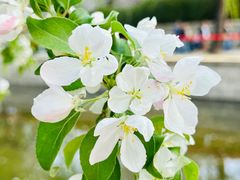 -元大都城垣遗址公园