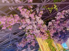 -川味火锅(牛塘店)