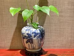 -宣和苑(华侨新村店)