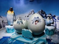 -海合安天津极地海洋公园