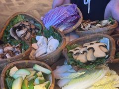 -滇野云南野生菌餐厅(陕西南路店)