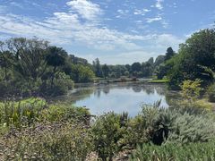 -墨尔本皇家植物园