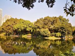 -晓港公园