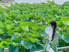 -南戴河国际娱乐中心