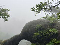 -六里坪国家森林公园