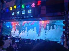-泉城欧乐堡海洋极地世界
