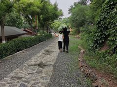 -欢乐松鼠谷