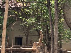 -石家庄市动物园