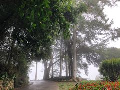 -雁南飞茶田景区