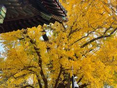 -红螺寺
