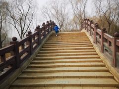 -大兴滨河森林公园