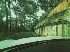 -广州市帽峰山景区