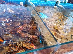 -渡海小渔村.老辈日照菜