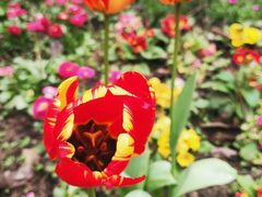 -灶丰年间(定安路店)