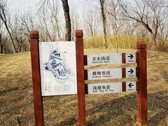 -东郊湿地公园