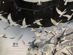 -中国湿地博物馆
