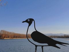 -野鸭湖国家湿地公园