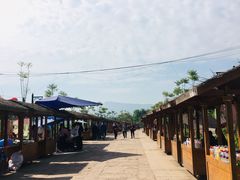 -尧坝古镇