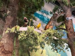 -重庆中国三峡博物馆(重庆博物馆)