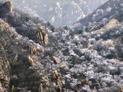-北京凤凰岭