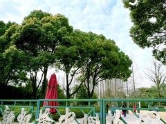 -新虹桥中心花园