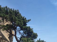 -崂山仰口游览区