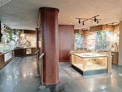 -帕帕拉兹宠物(亚洲旗舰店)