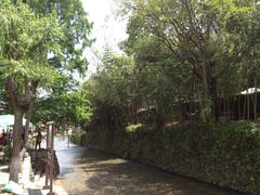 -绩溪龙川景区