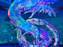 -海合安青岛极地海洋公园