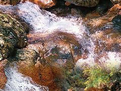 -祁门牯牛降观音堂风景区