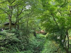 -三千院