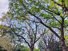 -人民公园(罗湖区)