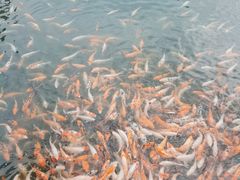 -长春市南湖公园