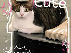 -蓝天射箭馆·专业射箭运动(诚丰广场店)