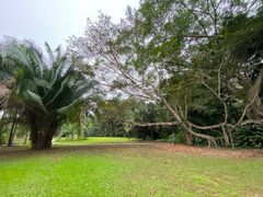 -中国科学院西双版纳热带植物园